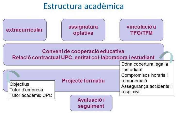 estructura-academica.jpg