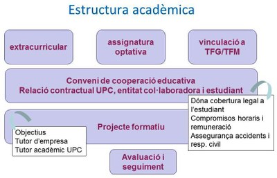 estructura-academica.jpg