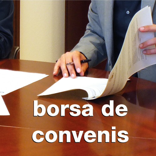 web_borsa-convenis.png