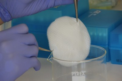 L’INTEXTER de la UPC organitza la  primera jornada ‘Tèxtils per a la medicina i la salut’