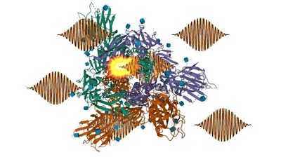 L’investigador Carles Serrat, de l’ESEIAAT de la UPC, proposa mètodes innovadors per  fragmentar de manera selectiva molècules amb raigs X làser