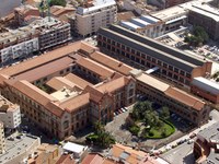 [07/06/2020 - 09:35h.] Notas del Director. Informe semanal (XI) - COVID-19