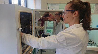 El Campus de Terrassa obtiene la acreditación TECNIO actualizada y representa el 60% de los grupos acreditados de la UPC