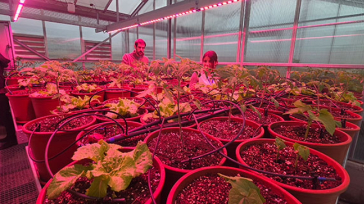 La UPC presenta en Terrassa 13 proyectos de tecnología agroalimentaria con soluciones innovadoras de alto valor añadido